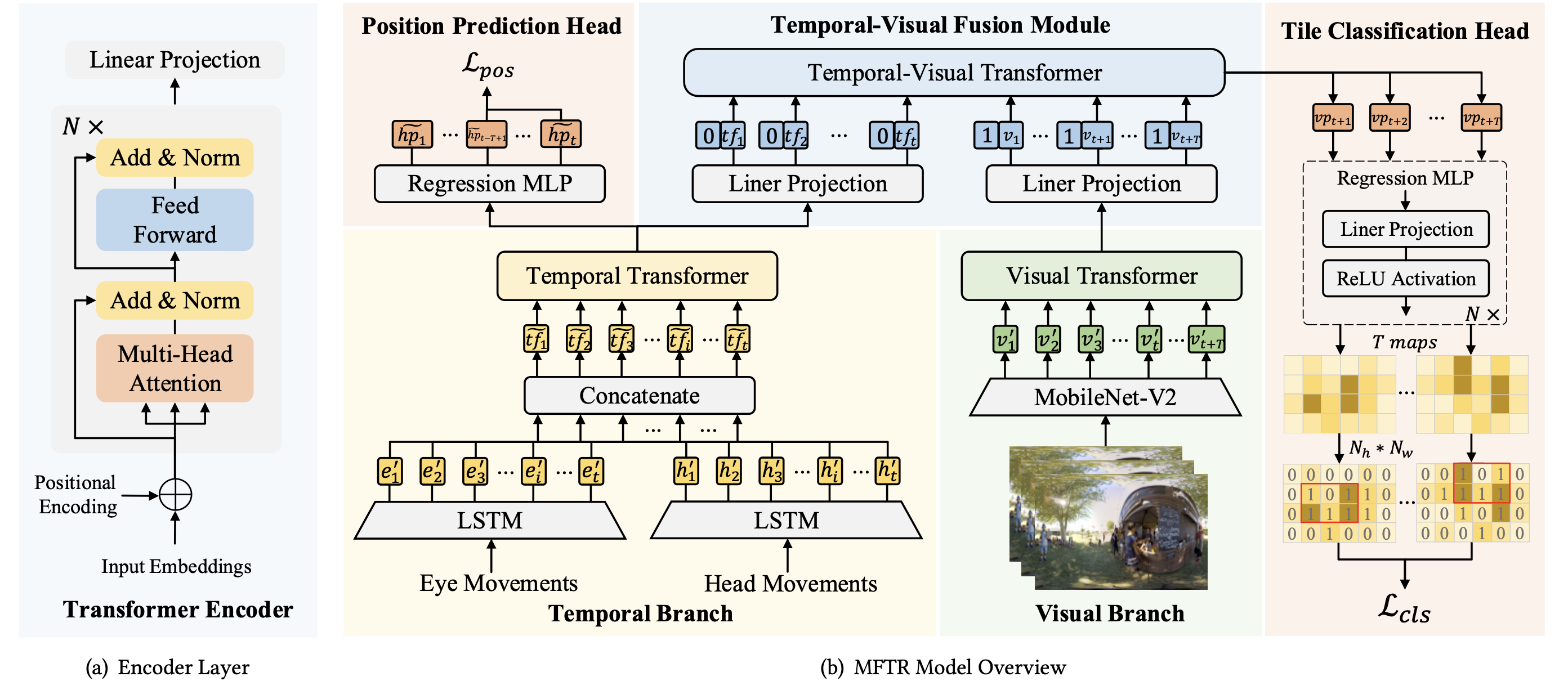 MFTR